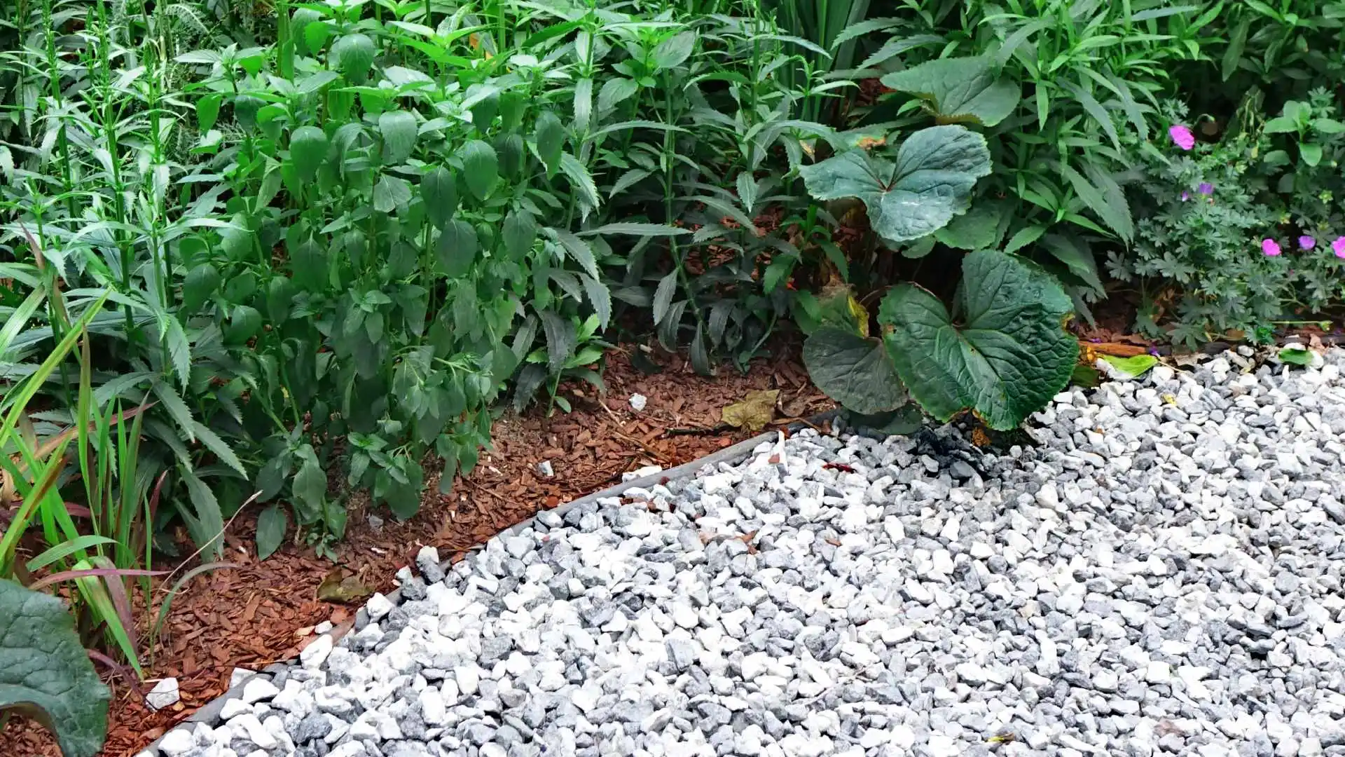 4 Great Reasons to Have a Ground Cover Installed in Your Landscape Beds