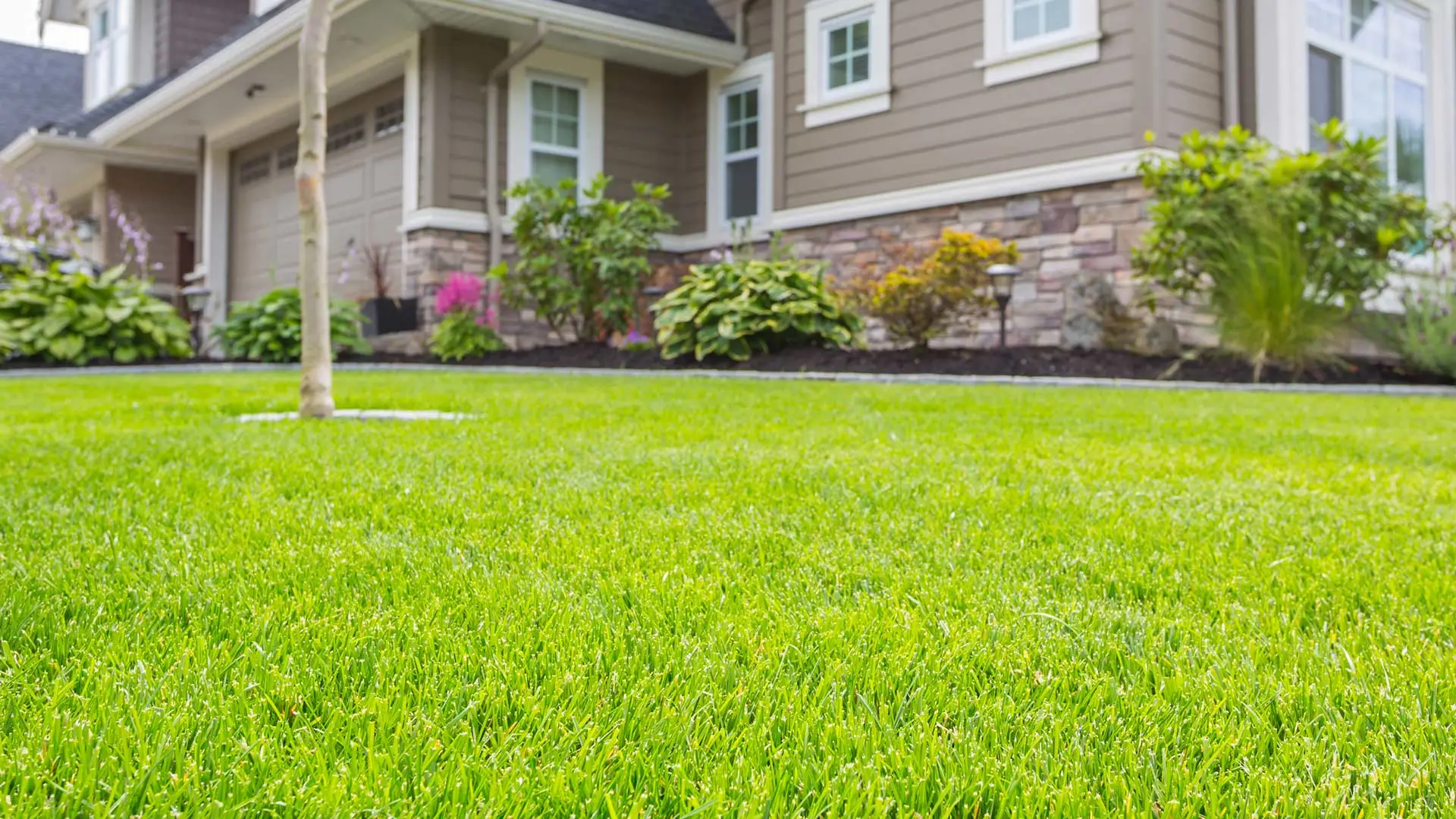 The Perfect Fertilization Schedule for Lawns in New Braunfels, TX
