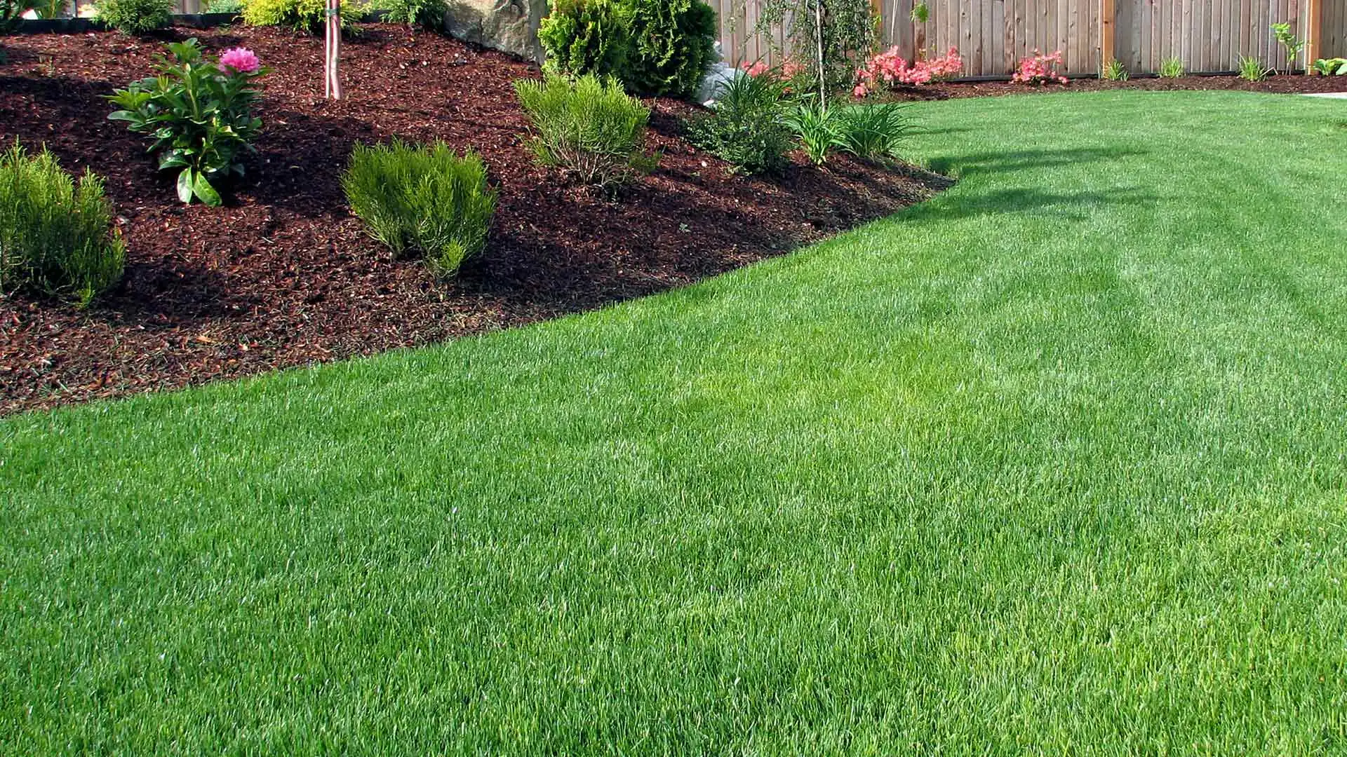 3 Reasons Why You Should Fertilize Your Lawn During the Spring Season