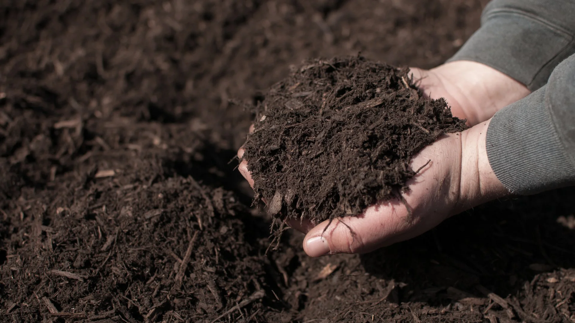 Handful of brown mulch in New Braunfels, TX.