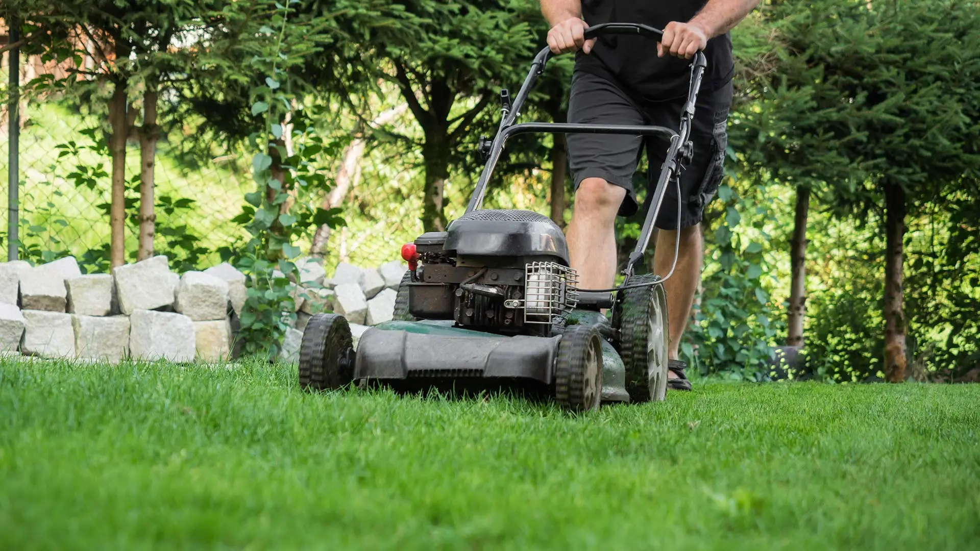 How to Care For Your Newly Installed Sod