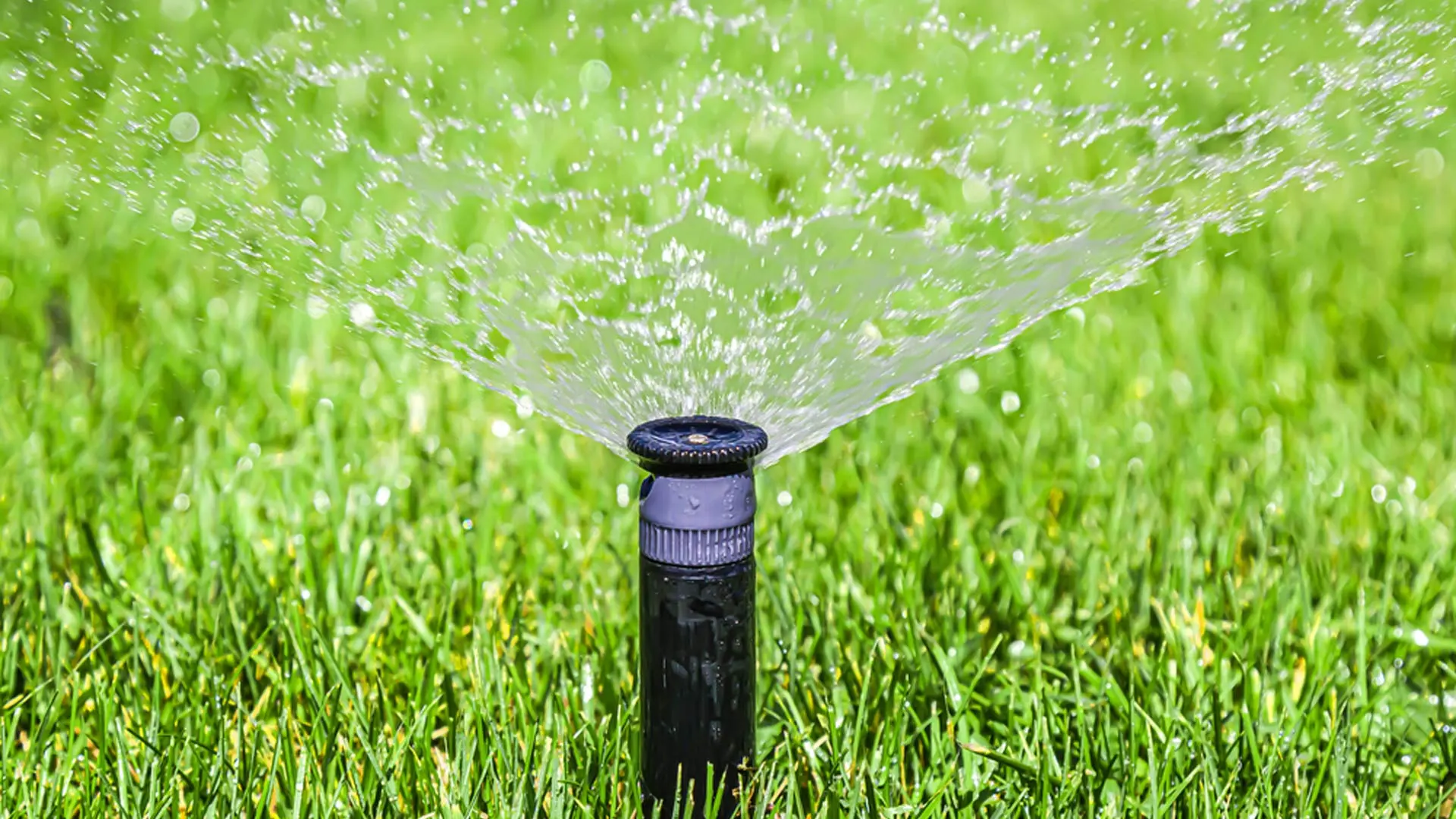 Sprinkler vs Drip Irrigation Systems - Which Option Is Right for You?
