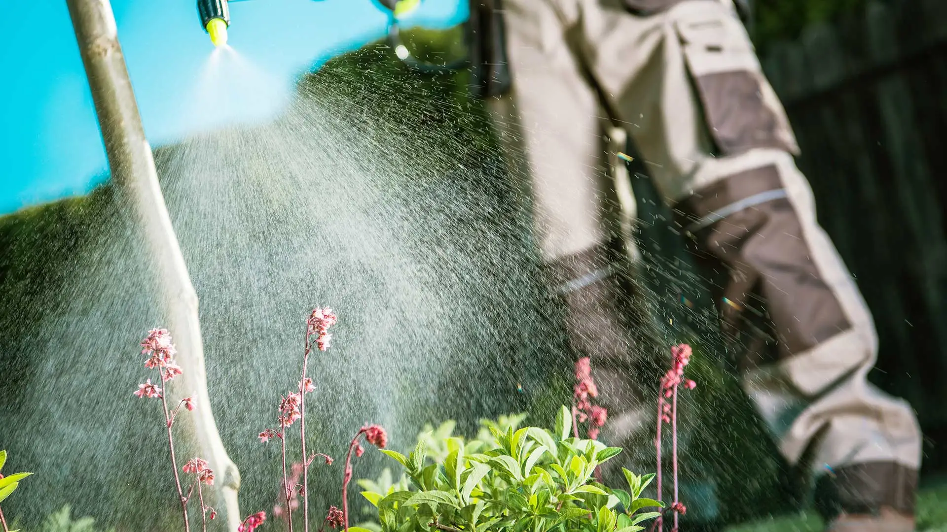 Expert putting down weed control on a landscape bed near Buda, TX.