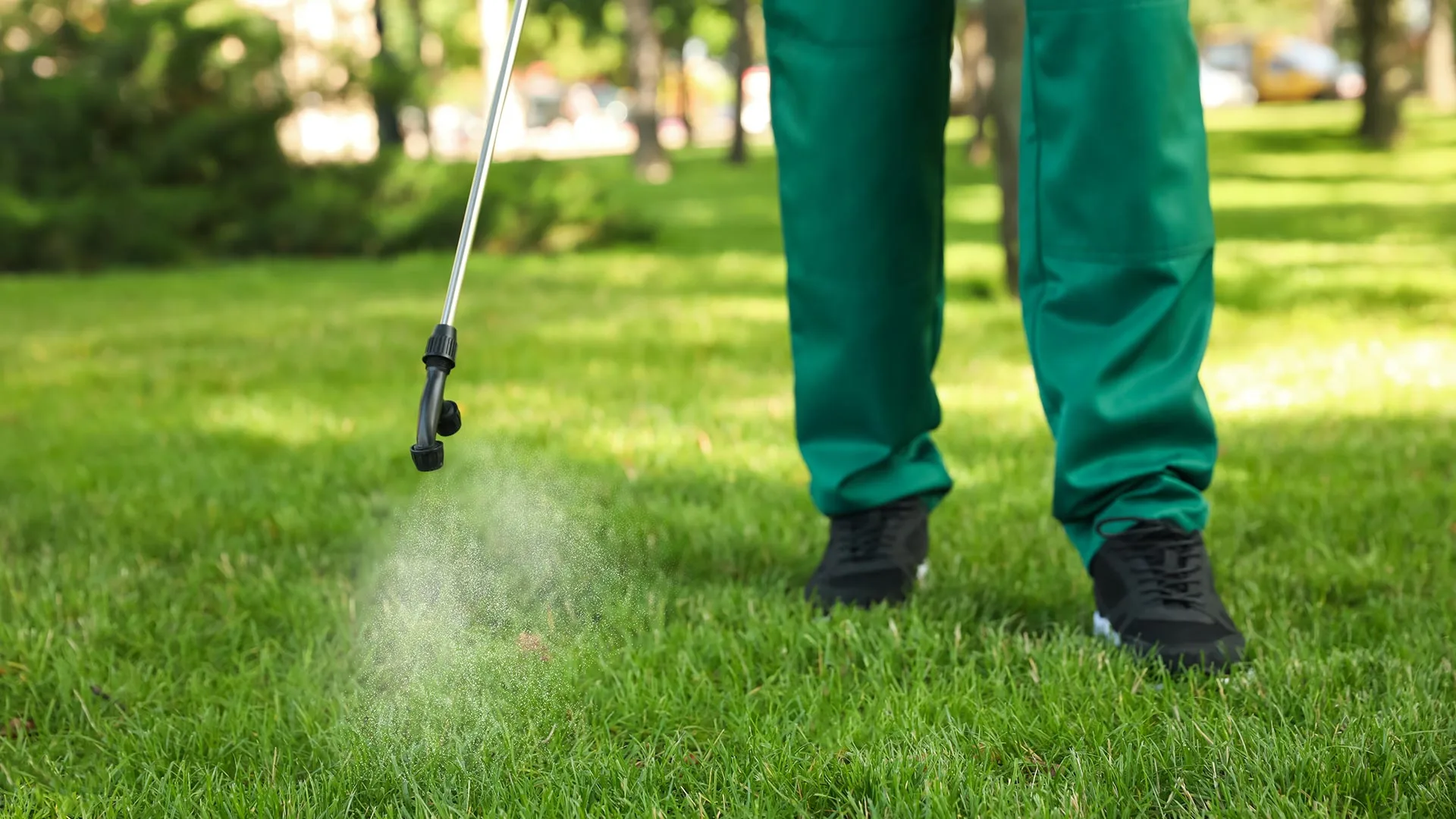 Avoid Weeds in the Spring by Applying a Pre-Emergent Treatment in the Fall