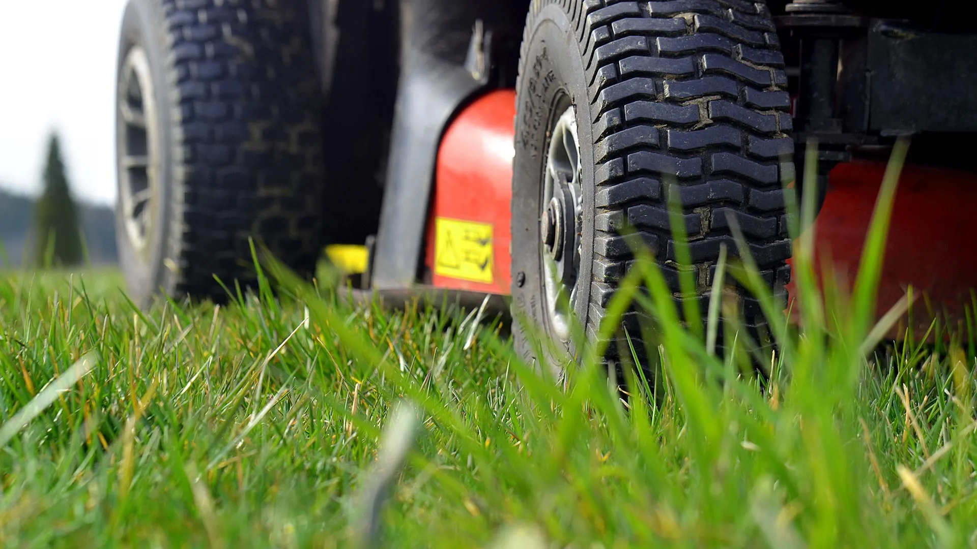 How Often Should You Be Mowing Your Lawn in New Braunfels, TX?