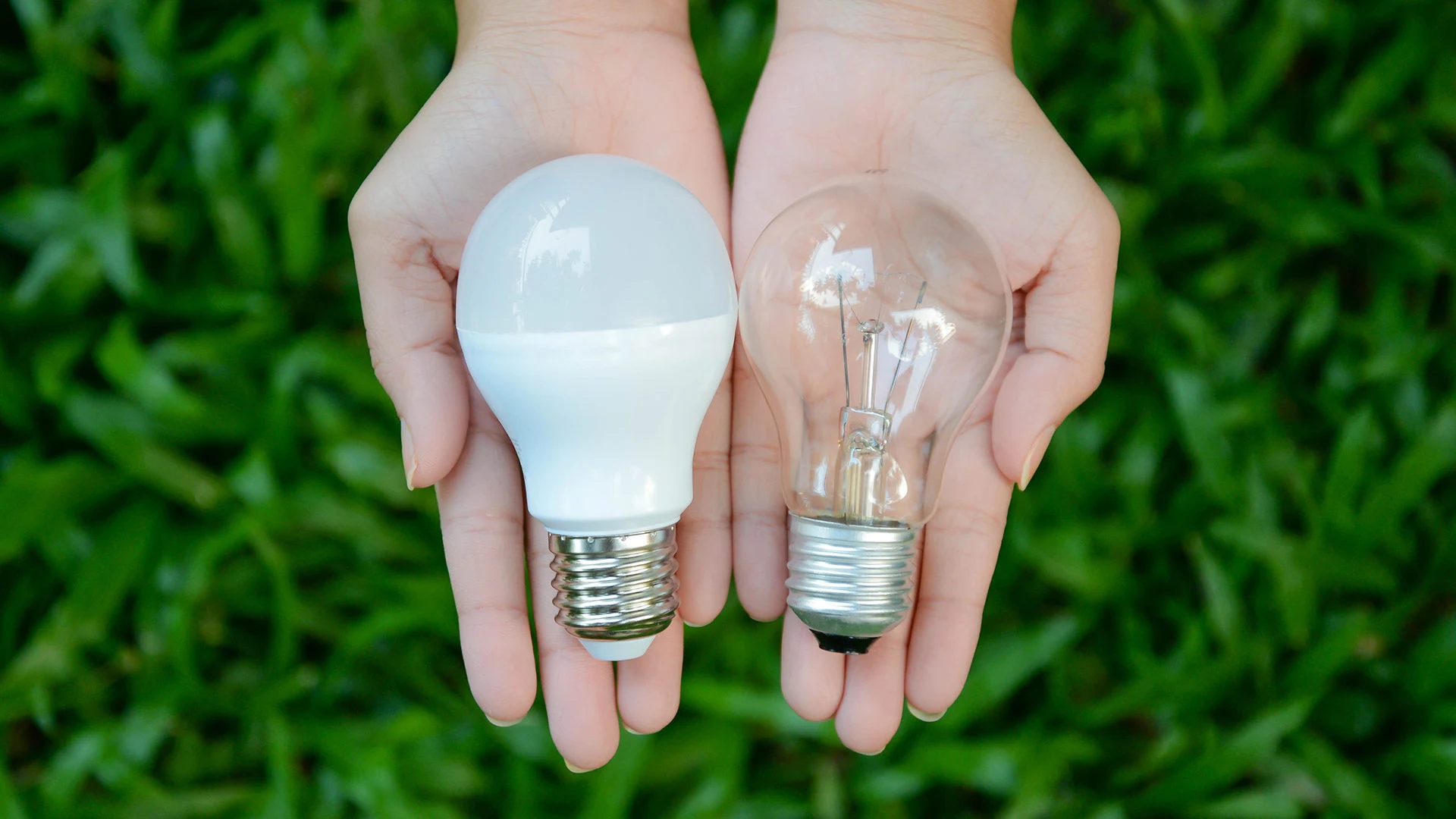 LED Bulbs vs Incandescent Bulbs for Your Outdoor Lighting System