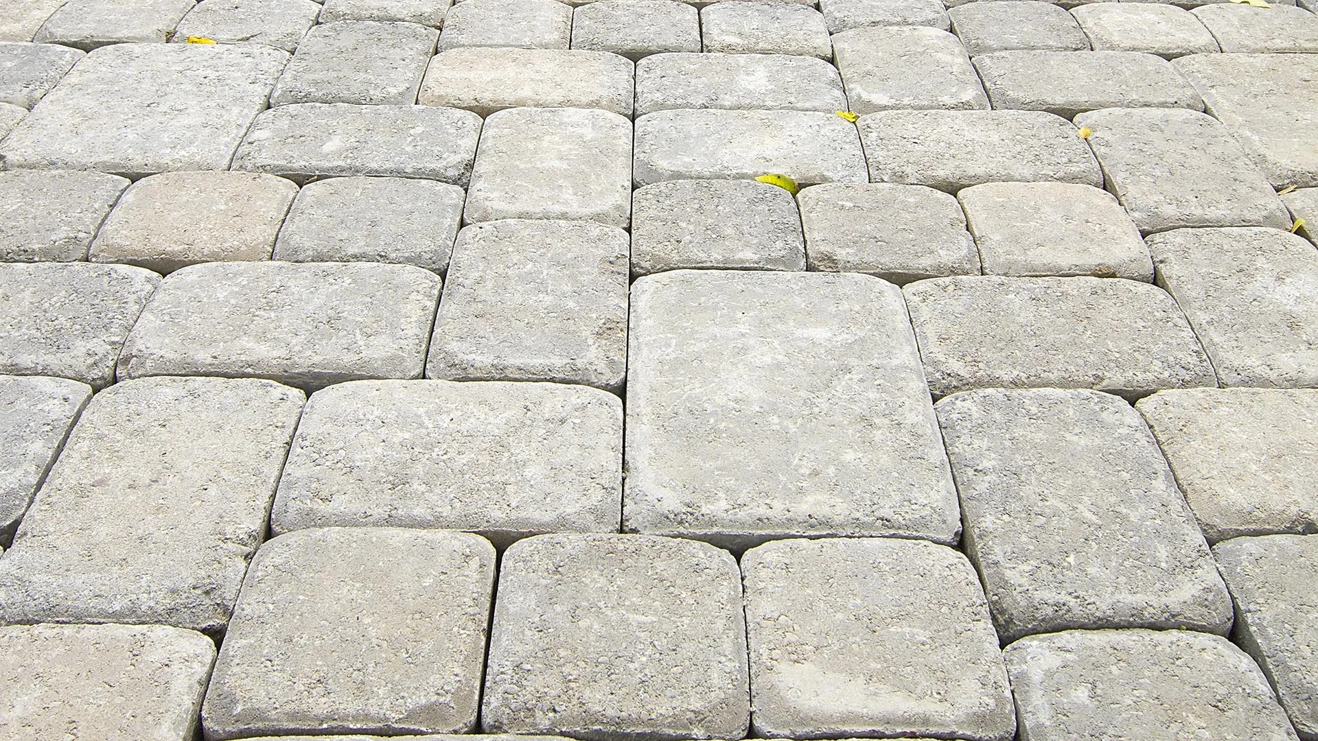 Close up on concrete pavers from a newly installed patio in Kyle, TX.