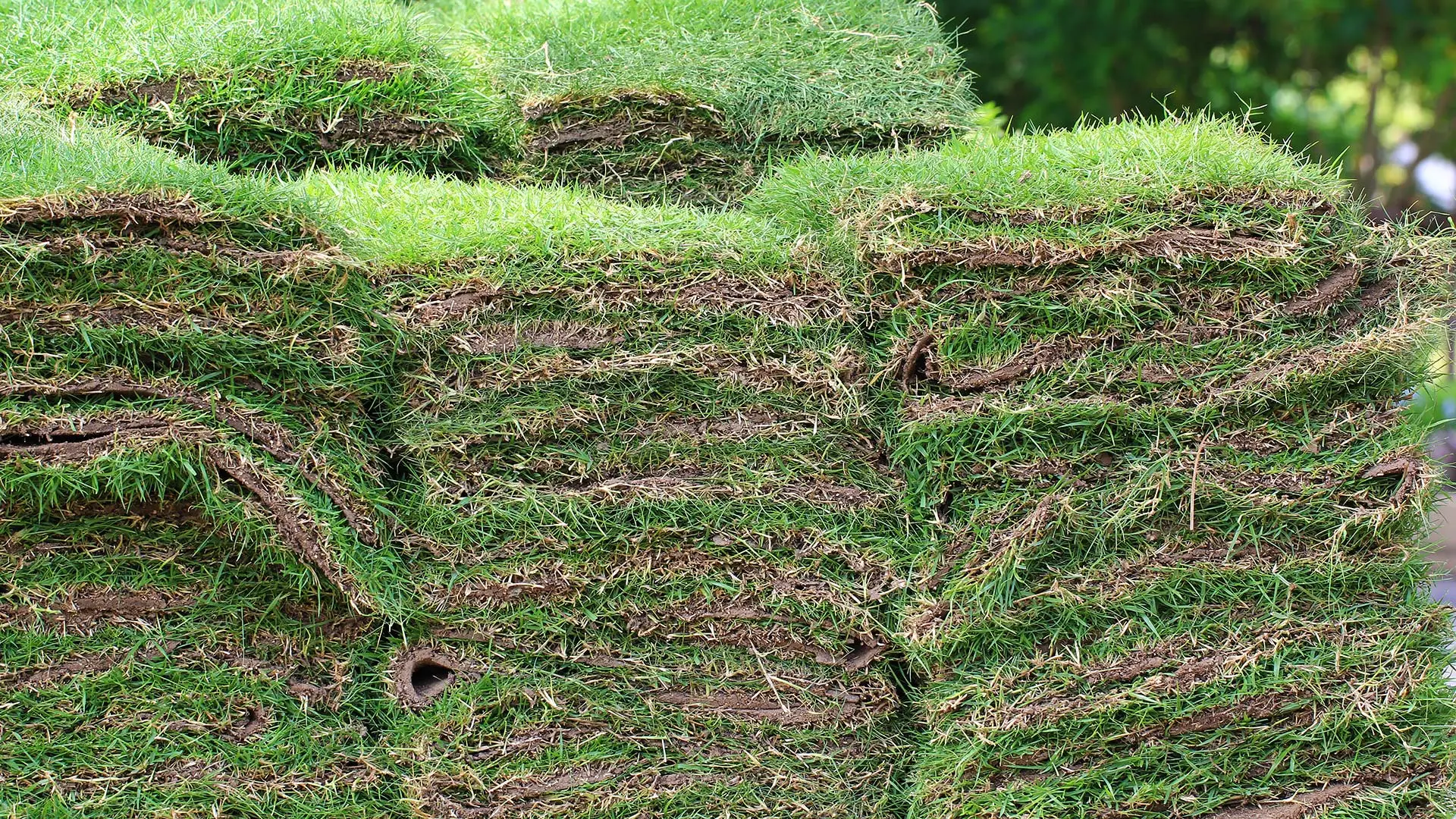 A stack of sod ready to be installed by a home in Buda, TX.