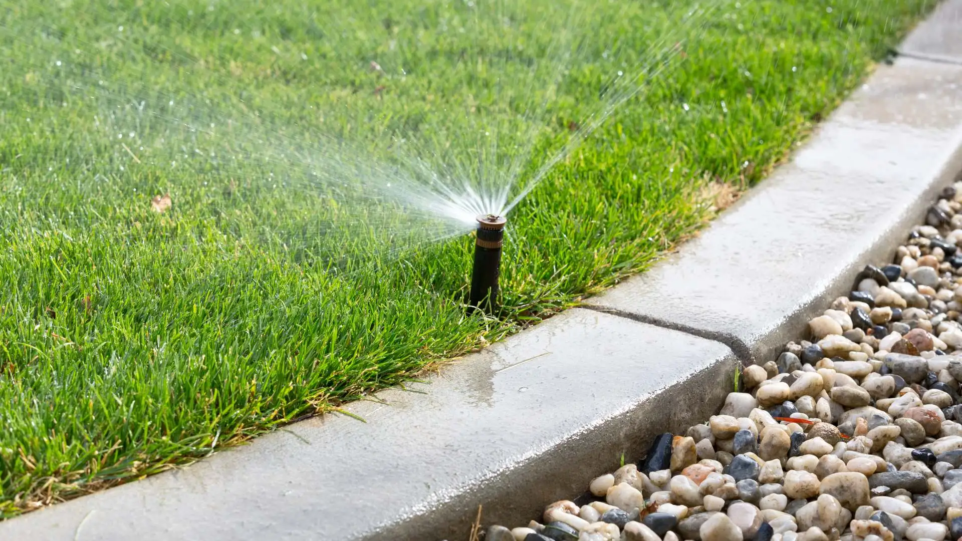 Sprinkler watering lawn in Seguin, TX.