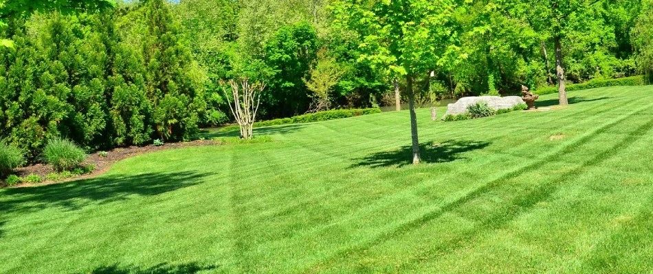 Alternating lawn patterns in New Braunfels, TX.