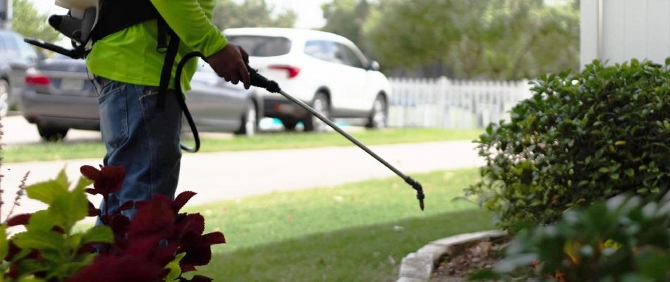Worker applying lawn treatment to landscape bed in Kyle, TX.