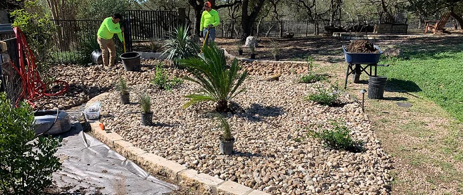 CLC professionals installing softscape plantings for a customer in Kyle, TX.