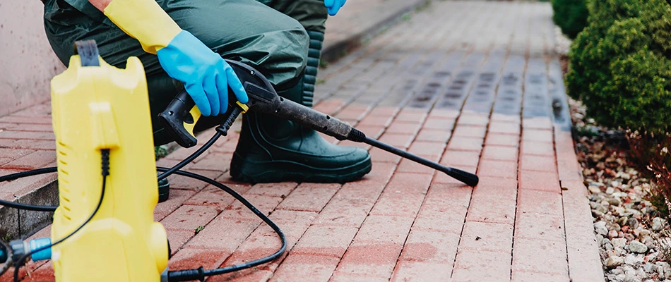 Cleaning and sealing walkway with a professional treatment near Buda, TX.