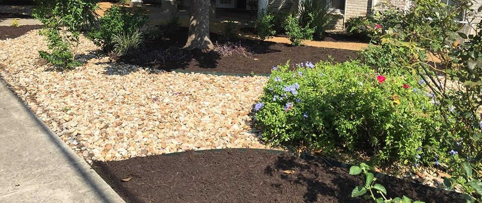 Contrasting colorful landscape beds after a spring cleanup in Kyle, TX.