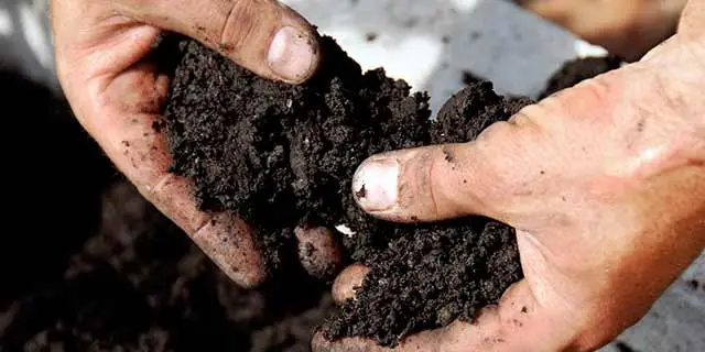 Dark, rich soil used for top dressing services in New Braunfels, TX.
