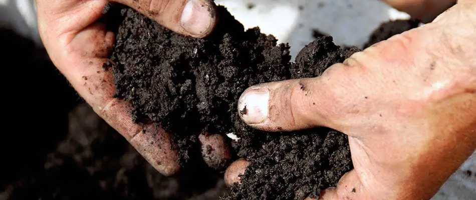 Dark soil prepared for top dressing services in New Braunfels, TX.