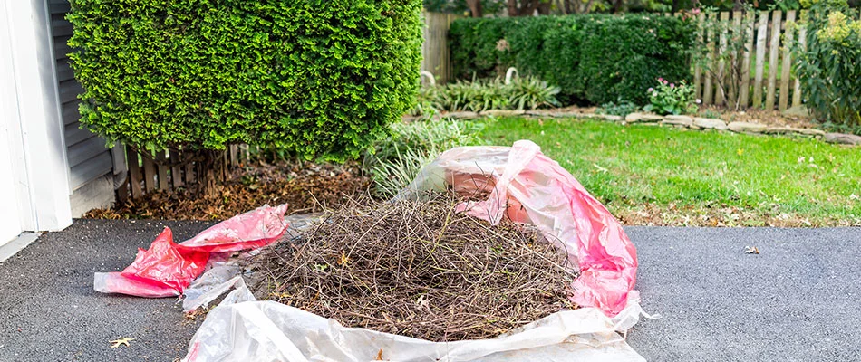 Debris in a bag ready for fall cleanup service in San Marcos, TX.