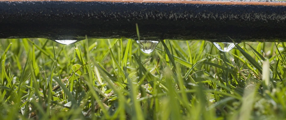 Drip irrigation line in a property watering lawn in San Marcos, TX.