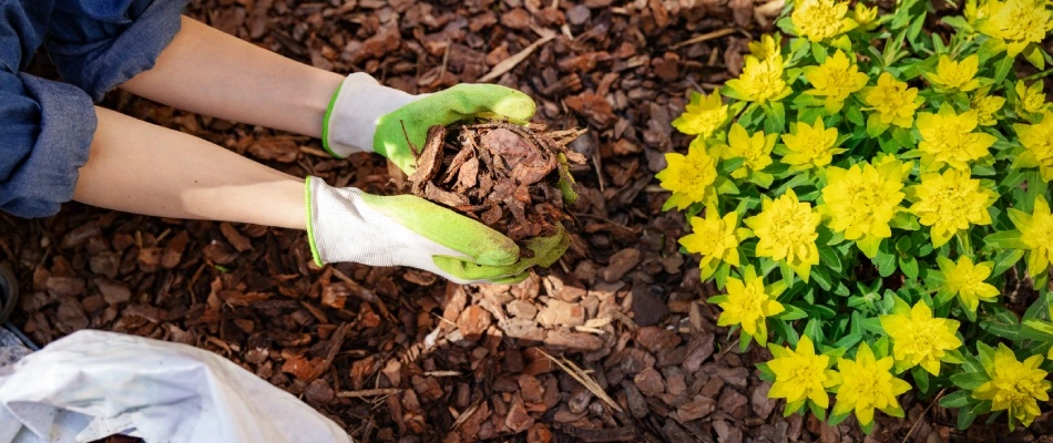 Gloved professional installing mulch by hand in New Braunfels, TX.