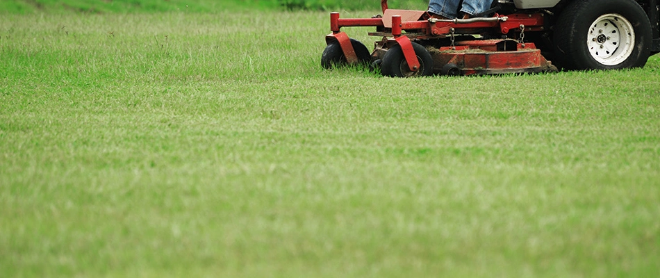 Mowing lawn on a red riding mower in the winter in New Braunfels, TX.