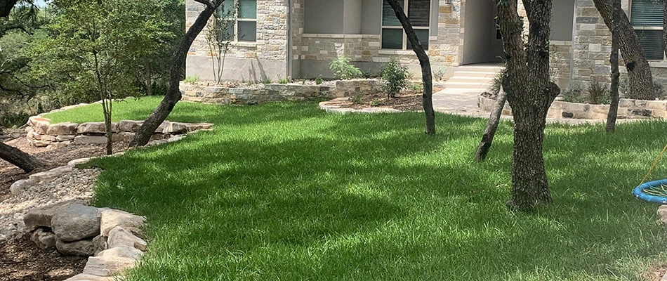 Our client's yard in Seguin, TX filled with thick and healthy grass thanks to our regular fertilization treatments.