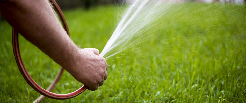 Homeowner watering newly installed sod in Seguin, TX.
