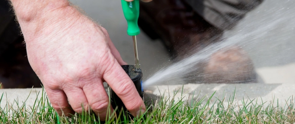 Irrigation specialist repairing sprinkler in lawn in Kyle, TX.