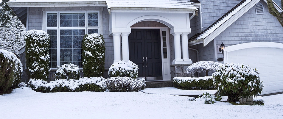 Glorious snow covered lawn and landscaping during a winter near Buda, TX.