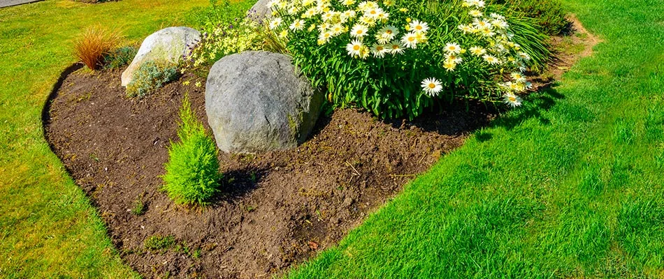 A bare landscape bed needing mulch and likely to erode over time in New Braunfels, TX.