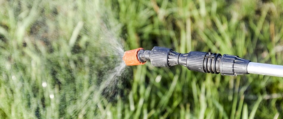 A technician spraying treatment to a lawn in New Braunfels, TX.