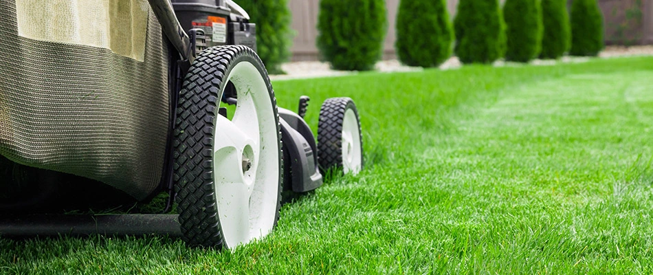 Push mower cutting grass at specific height for optimal long-term health near New Braunfels, TX.