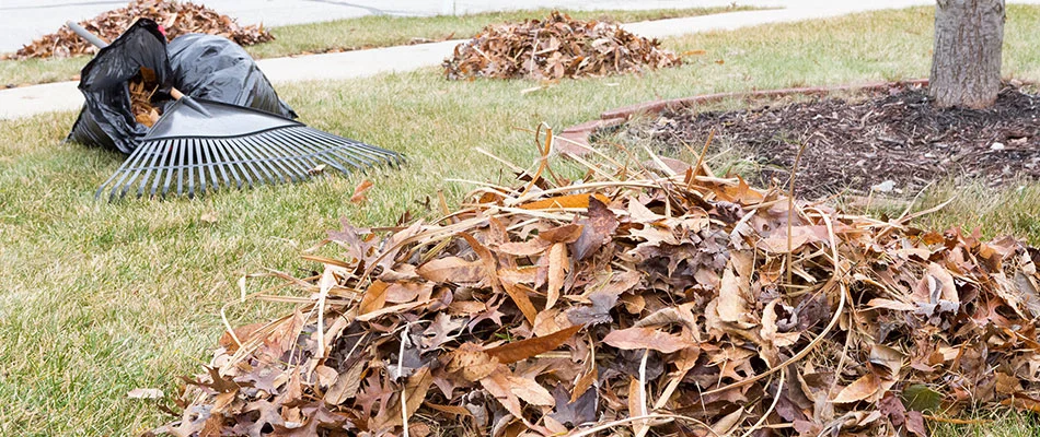 Leaves and debris left in a lawn in Kyle, TX.