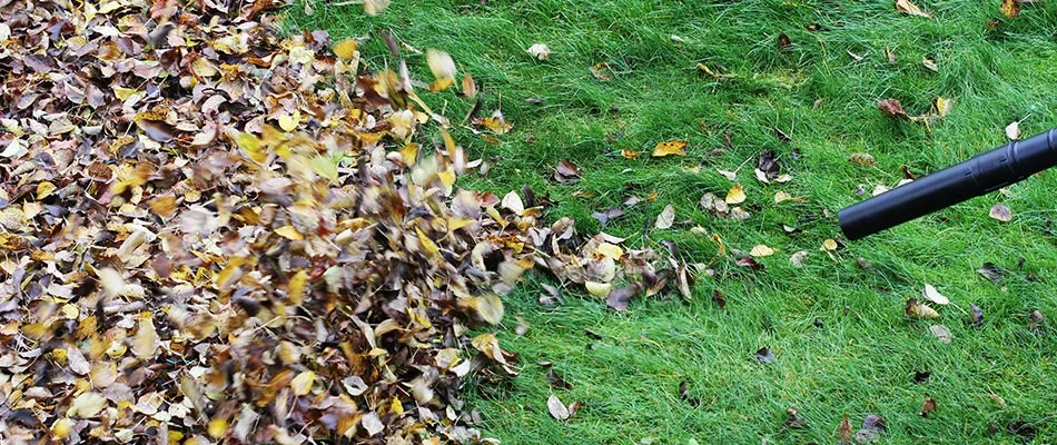Leaves being blown off of a customer's lawn in Kyle, TX.