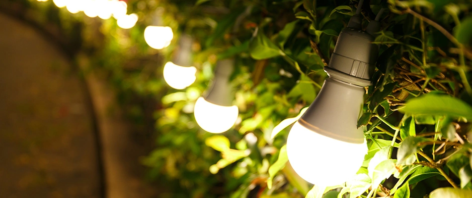 A gorgeous row of led lights lighting up a path in Buda, TX and nearby areas.