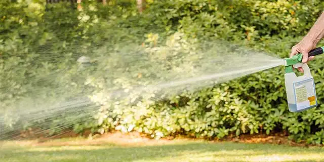 Lawn aeration services at a home in Seguin, TX.