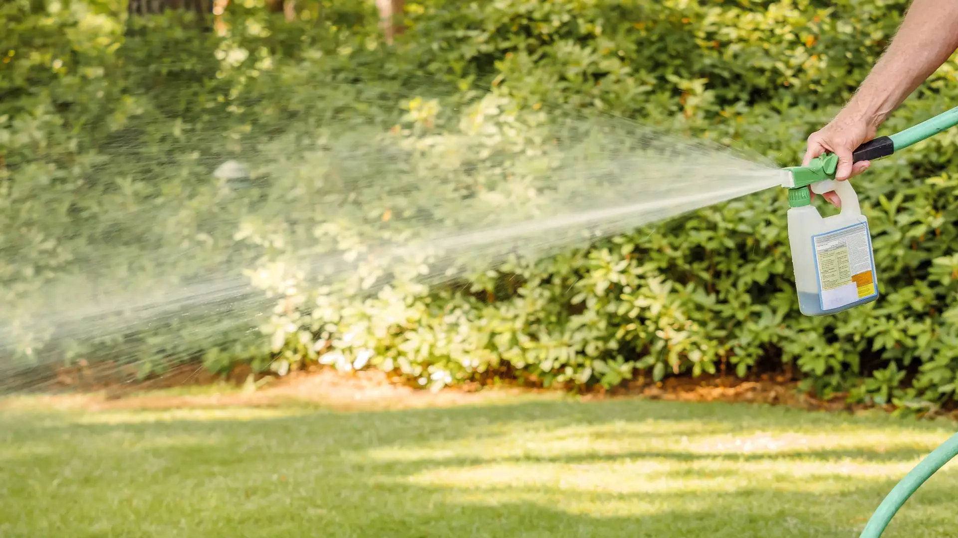 Liquid aeration treatment in bottle being sprayed over lawn in New Braunfels, TX.