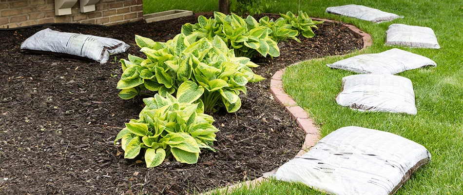 A landscape bed with brown mulch being added in New Braunfels, TX.