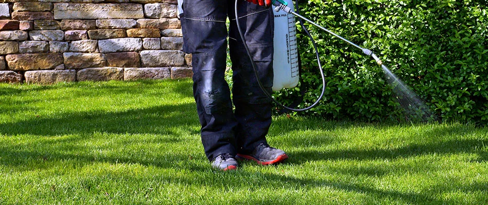 Pre-emergent weed control being applied to a lawn in Buda, TX.