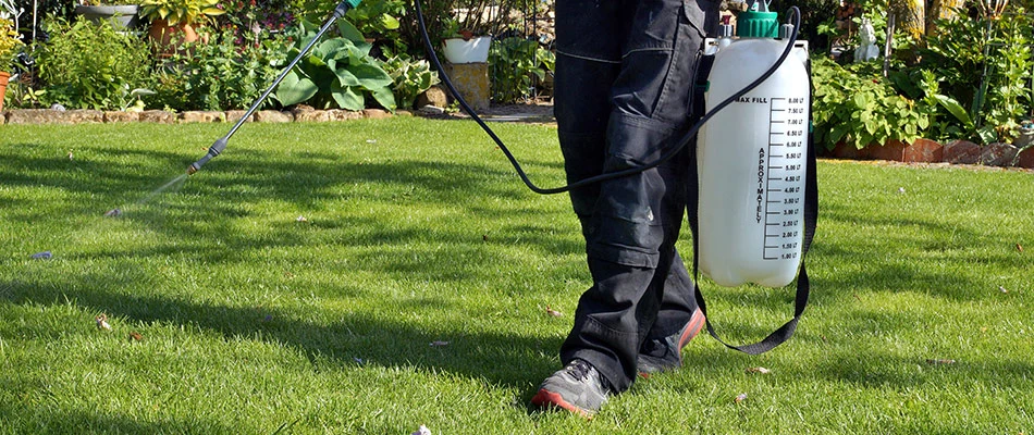 A professional applying weed control in a customer's lawn in New Braunfels, TX.