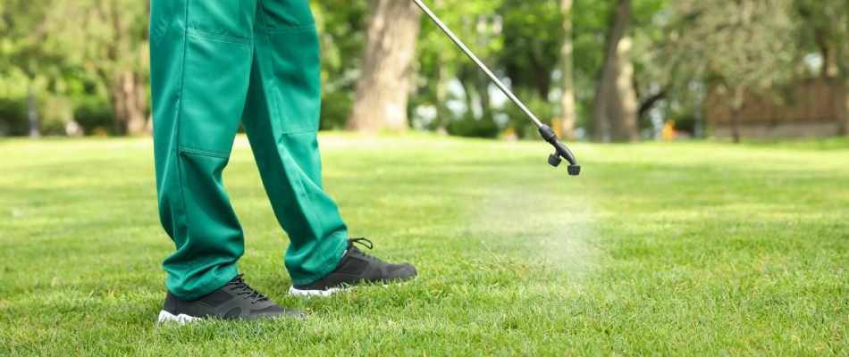 Lawn care professional applying brown patch treatment to lawn in New Braunfels, TX.