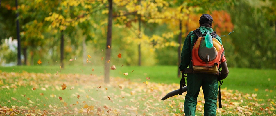 A professional leaf blowing debris off of a lawn in Buda, TX.