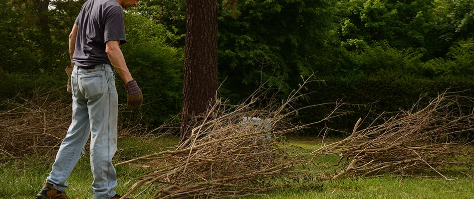 A lawn care professional gathering sticks and debris for a fall cleanup in San Marcos, TX.