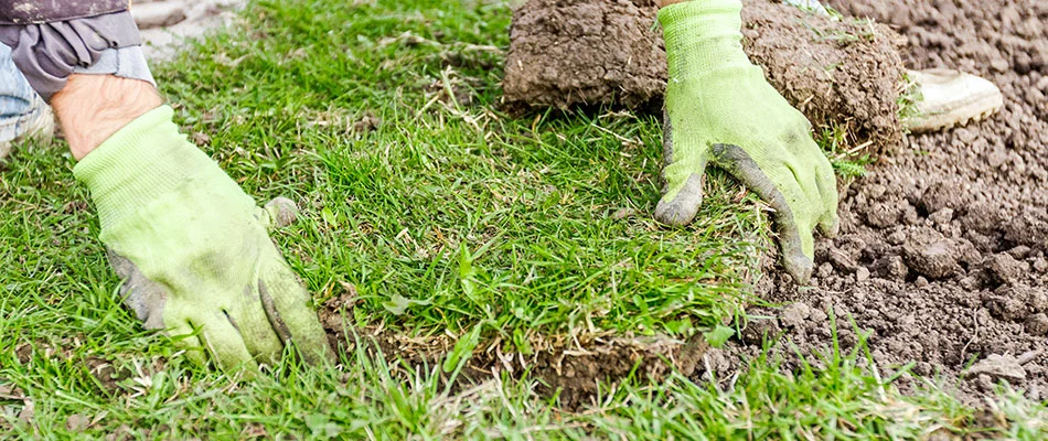 A CLC professional installing new sod for a customer in San Marcos, TX.