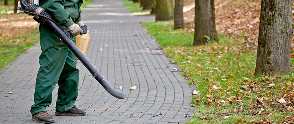 A professional using leaf blower to remove leaves in New Braunfels, TX.