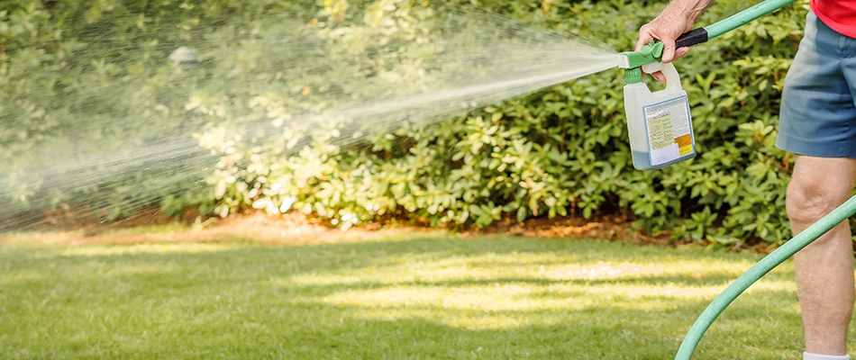 Professional spraying liquid aeration treatment to lawn in San Marcos, TX.