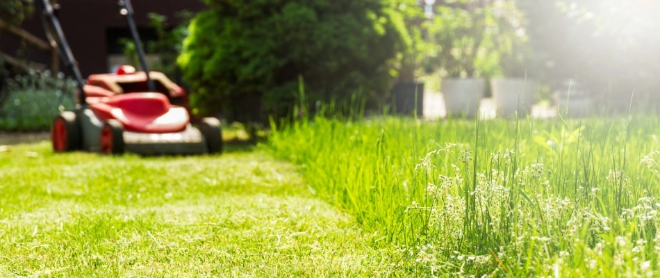 Push mower in lawn beside unfinished portion in New Braunfels, TX.