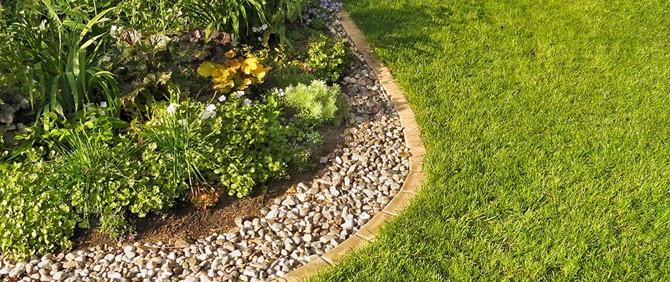 A landscape bed with rock ground covering in Seguin, TX.