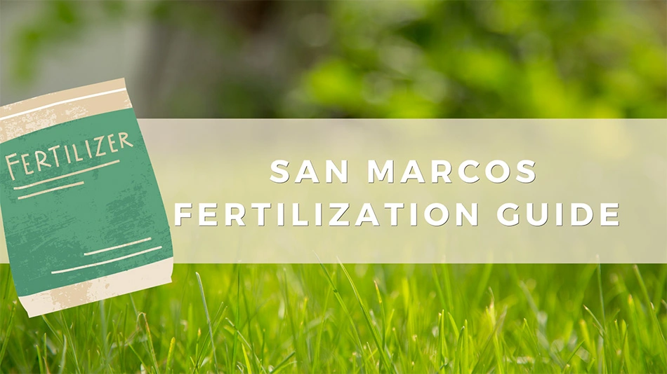 San Marcos, TX lawn fertilization guide graphic.