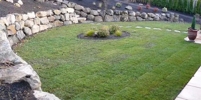 Sod installed in a back yard near San Marcos, TX.