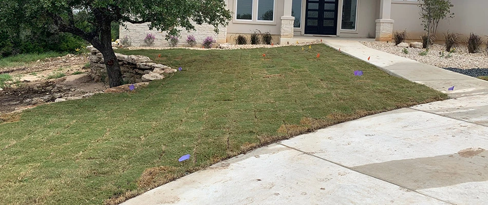 A freshly sodded front yard in San Marcos, TX.